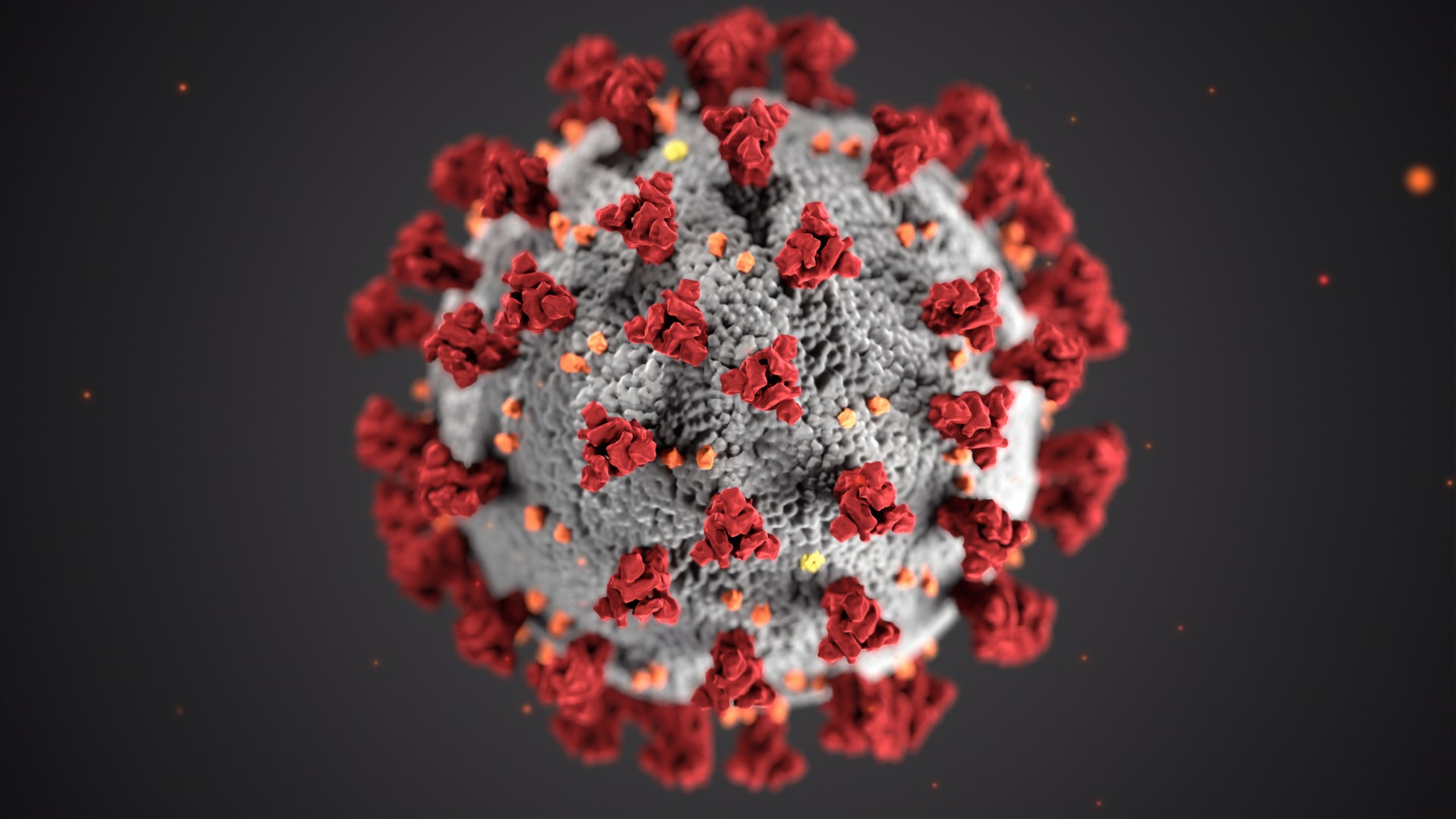 COVID-19 novel Coronavirus outbreak affecting travels in Europe